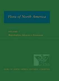 Flora of north america vol.7 