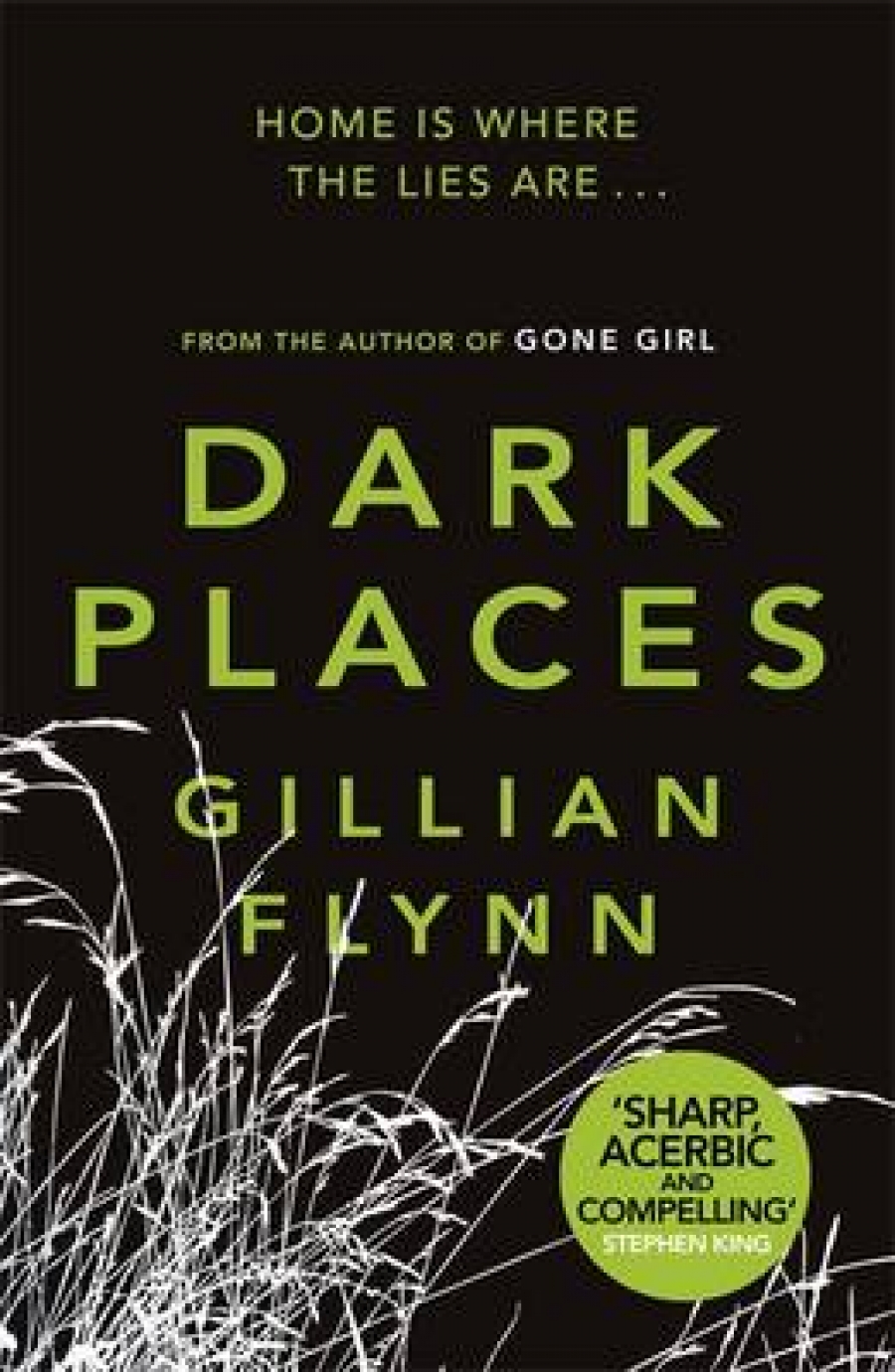 Flynn Gillian Dark Places 