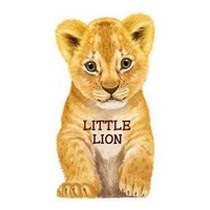 Rigo L. Little Lion 