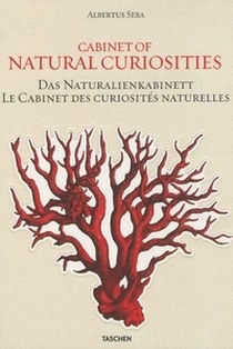 Seba Albertus Cabinet of Natural Curiosities 