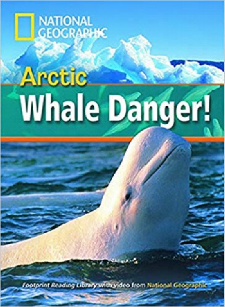 Arctic Whale Danger! 