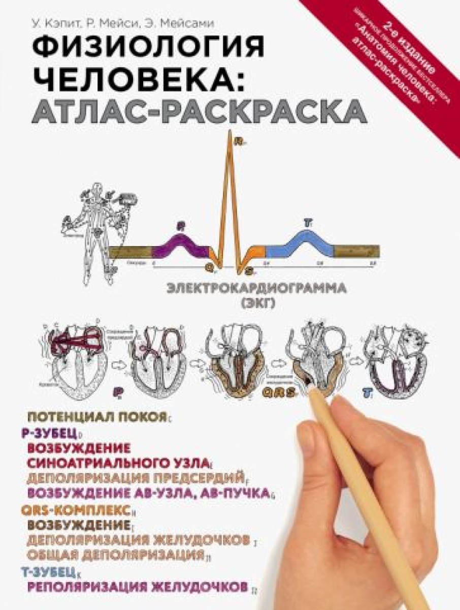 Книга анатомия и физиология человека федюкович скачать