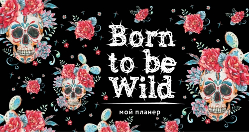  .   : Born to be Wild (  ) 