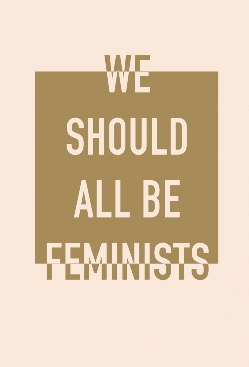 . We should all be feminists ( 5,  , -) 