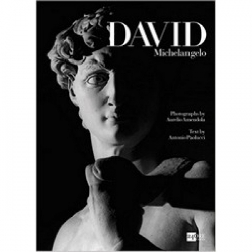 Michelangelo: David 