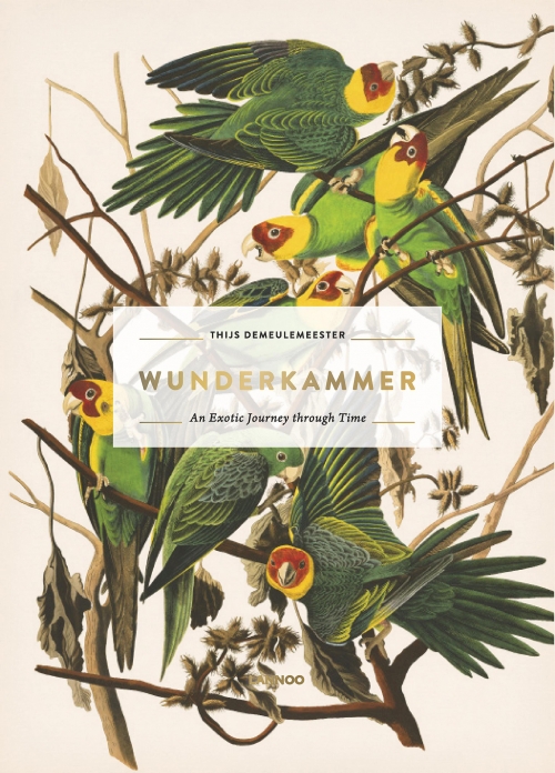Wunderkammer: An Exotic Journey Through Time 
