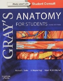 Richard Drake Gray's Anatomy for Students and Paulsen: Sobotta, Atlas of Anatomy 