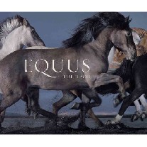 Tim F. Equus 
