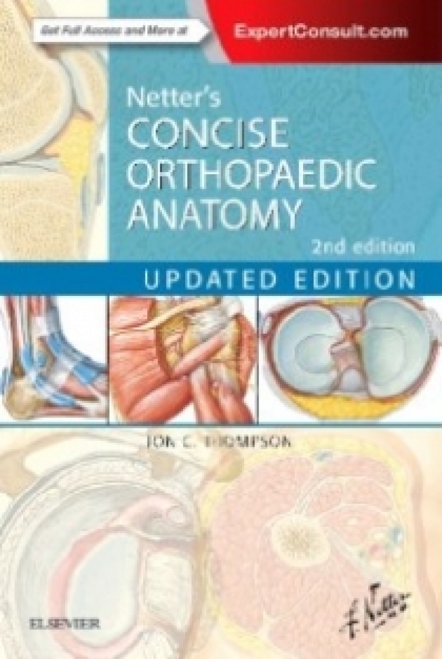 Thompson Jon C. Netter's Concise Orthopaedic Anatomy, Updated Edition, 2e 