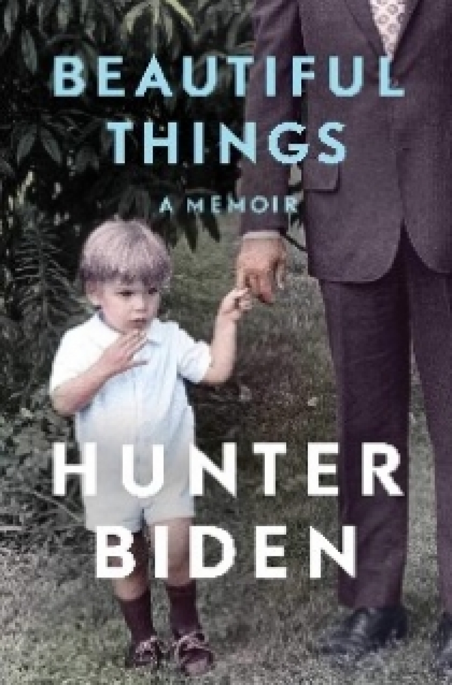 Hunter, Biden Beautiful things 