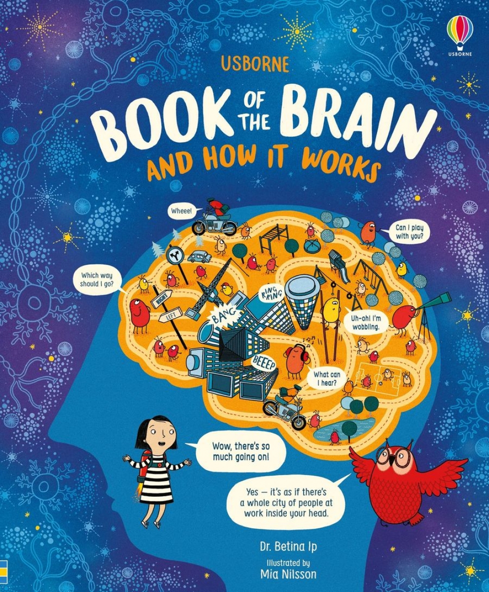 Betina Ip Usborne Book of the Brain and How it Works 