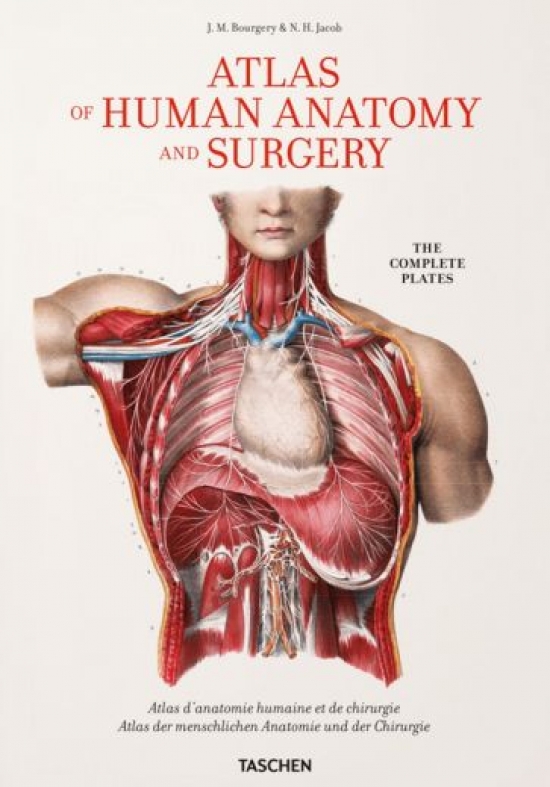 Sick Henri, Le Minor Jean-Marie Bourgery: Atlas of Human Anatomy and Surgery 