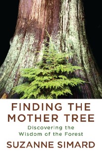 Suzanne, Simard Finding the mother tree : discovering how the forest is wired for intelligence and healing 