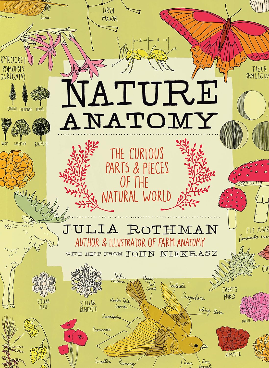 Rothman Julia Nature Anatomy: The Curious Parts and Pieces of the Natural World 