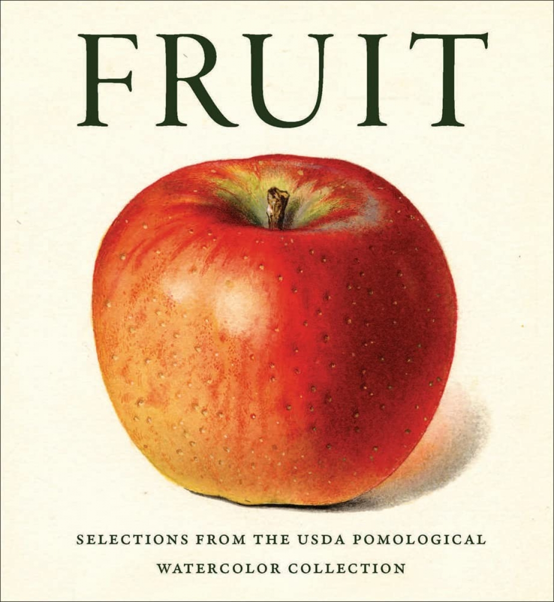 Editors of Abbeville Press Fruit: Selections from the USDA Pomological Watercolor Collection: Tiny Folio 