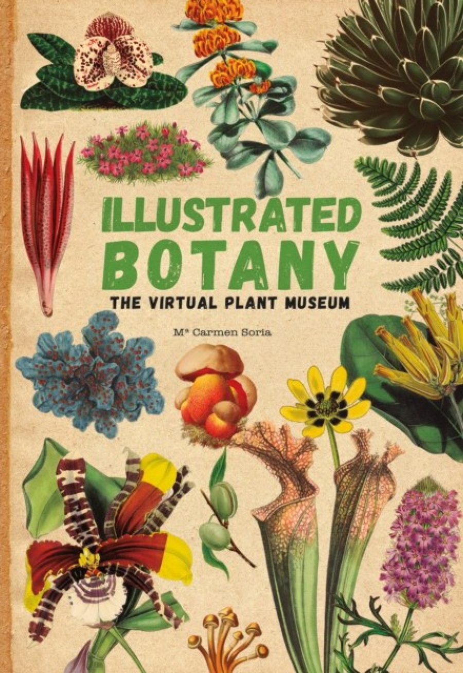 Carmen, Soria Illustrated Botany: The Virtual Plant Museum 