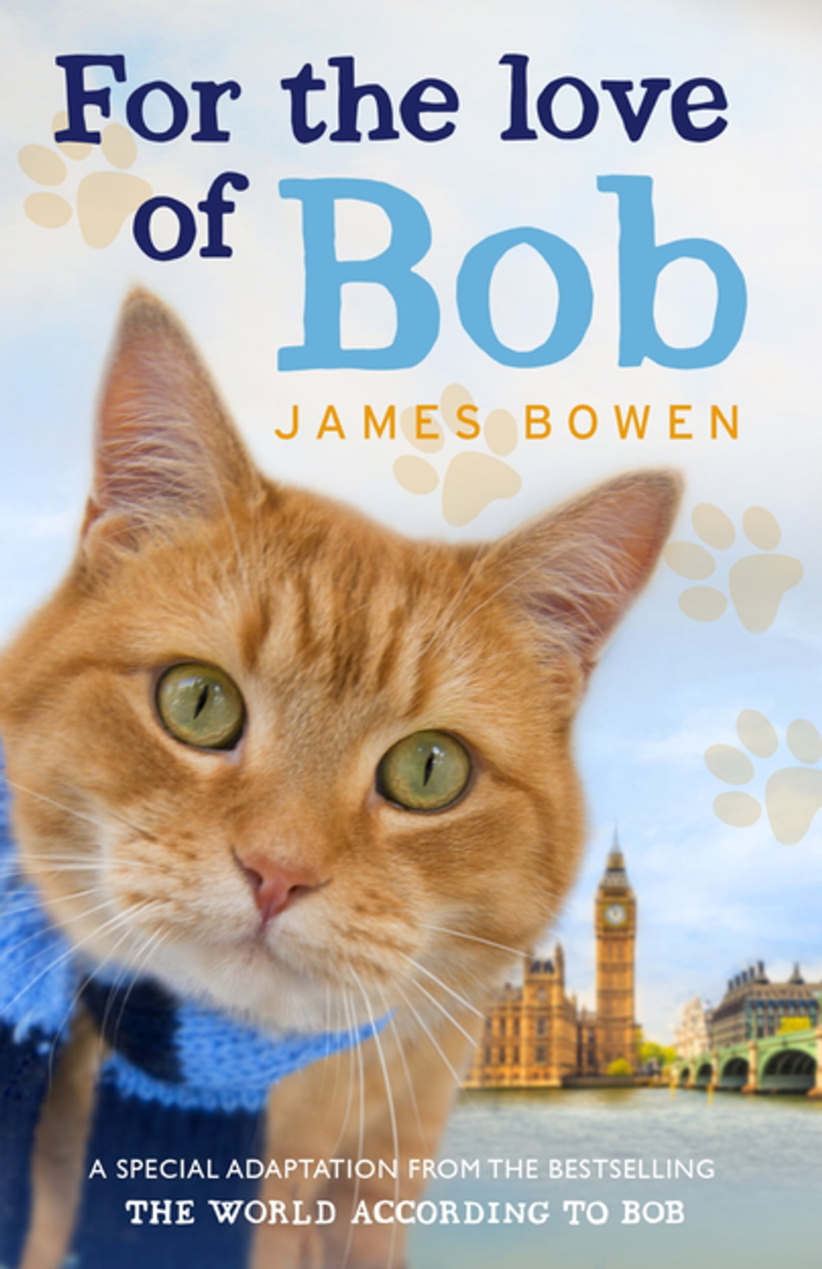 James Bowen For the Love of Bob 