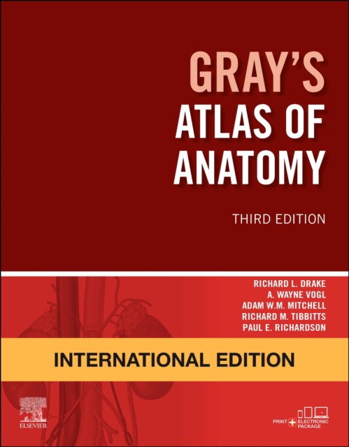 Drake Richard Gray'S Atlas Of Anatomy, International Edition 3 