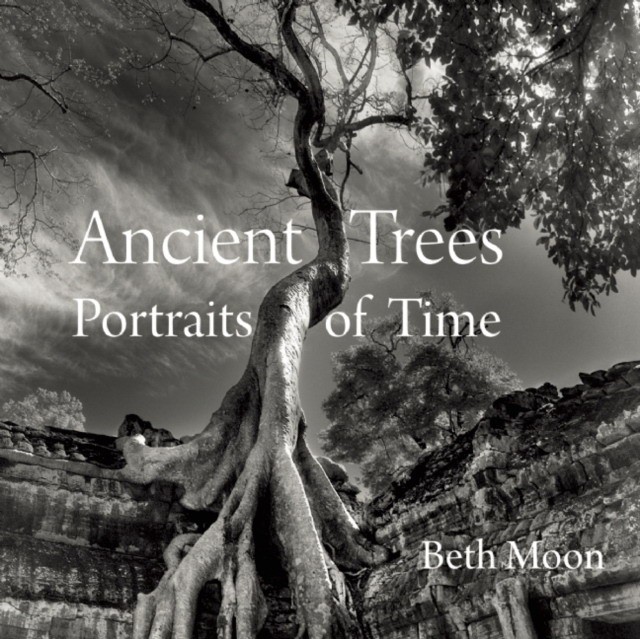 Moon Beth Ancient Trees: Portraits of Time 