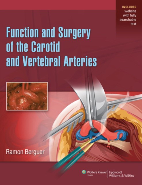 Berguer Function and Surgery of the Carotid and Vertebral Arteries 