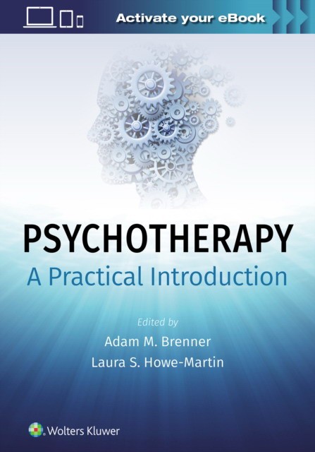 Brenner Psychotherapy Practical Introduction 