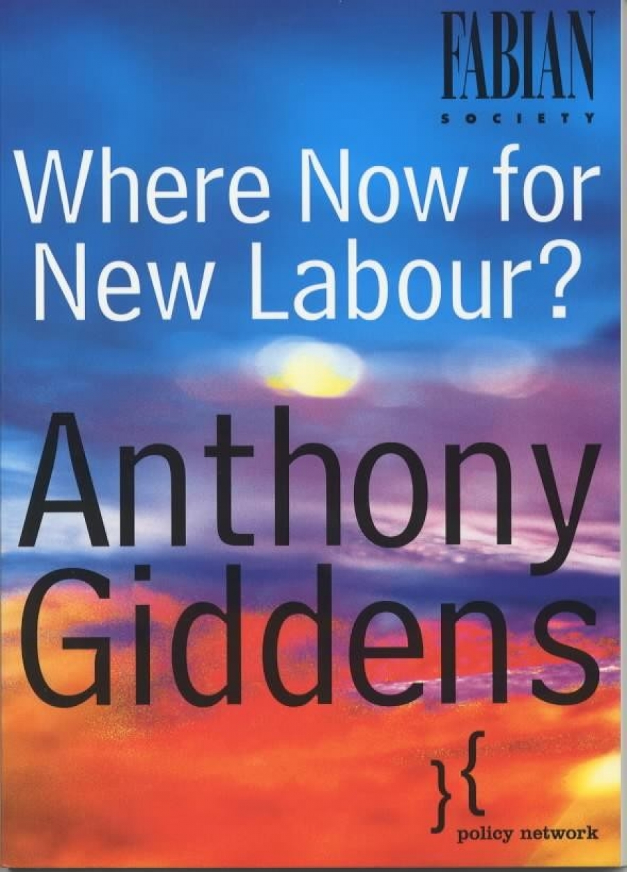 , Giddens Anthony, Mcgrew Anthony, Sinn Hans-Werner Where Now for New Labour? 