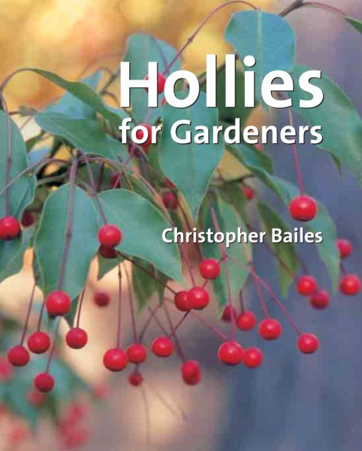 Christopher, Bailes Hollies for gardeners 