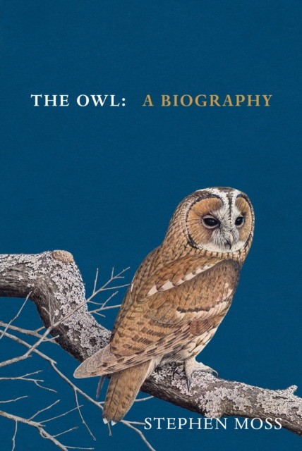Stephen, Moss The Owl 