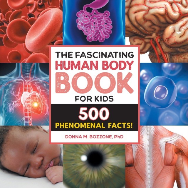 Bozzone Donna M. The Fascinating Human Body Book for Kids: 500 Phenomenal Facts! 