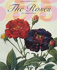Petra-Andrea Hinz, Barbara Schulz The Roses 