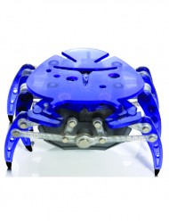 ���������� HEXBUG ���� 