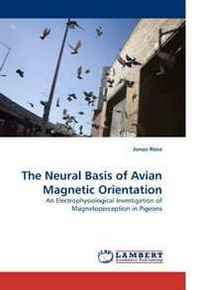 Jonas Rose The Neural Basis of Avian Magnetic Orientation 