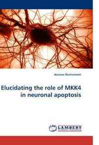 Auriane Destrument Elucidating the role of MKK4 in neuronal apoptosis 