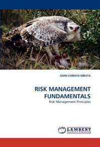 JOHN CHIBAYA MBUYA Risk Management Fundamentals: Risk Management Principles 