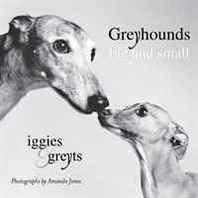 Amanda Jones Greyhounds Big and Small: Iggies and Greyts 