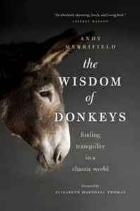 Andy Merrifield The Wisdom of Donkeys: Finding Tranquility in a Chaotic World 