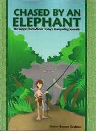 Janice Barrett Graham Chased by an Elephant 