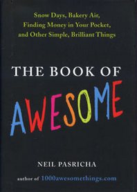 Neil Pasricha The Book of Awesome 