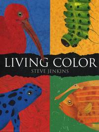 Jenkins S. Living Color 