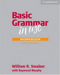 Smalzer Basic Grammar in Use Second edition Workbook with answers 