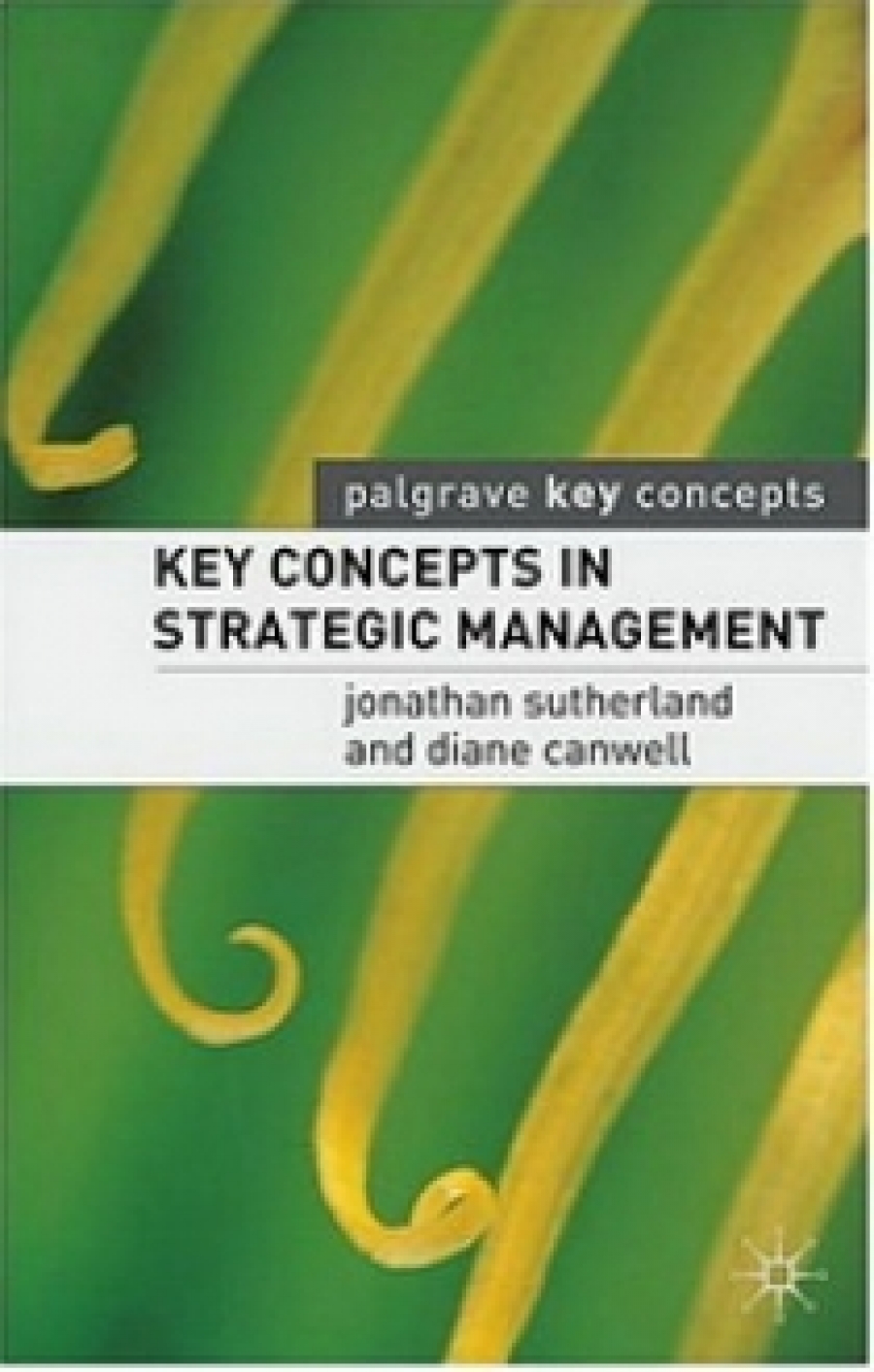 Jonathan S. Key Concepts in Strategic Management 