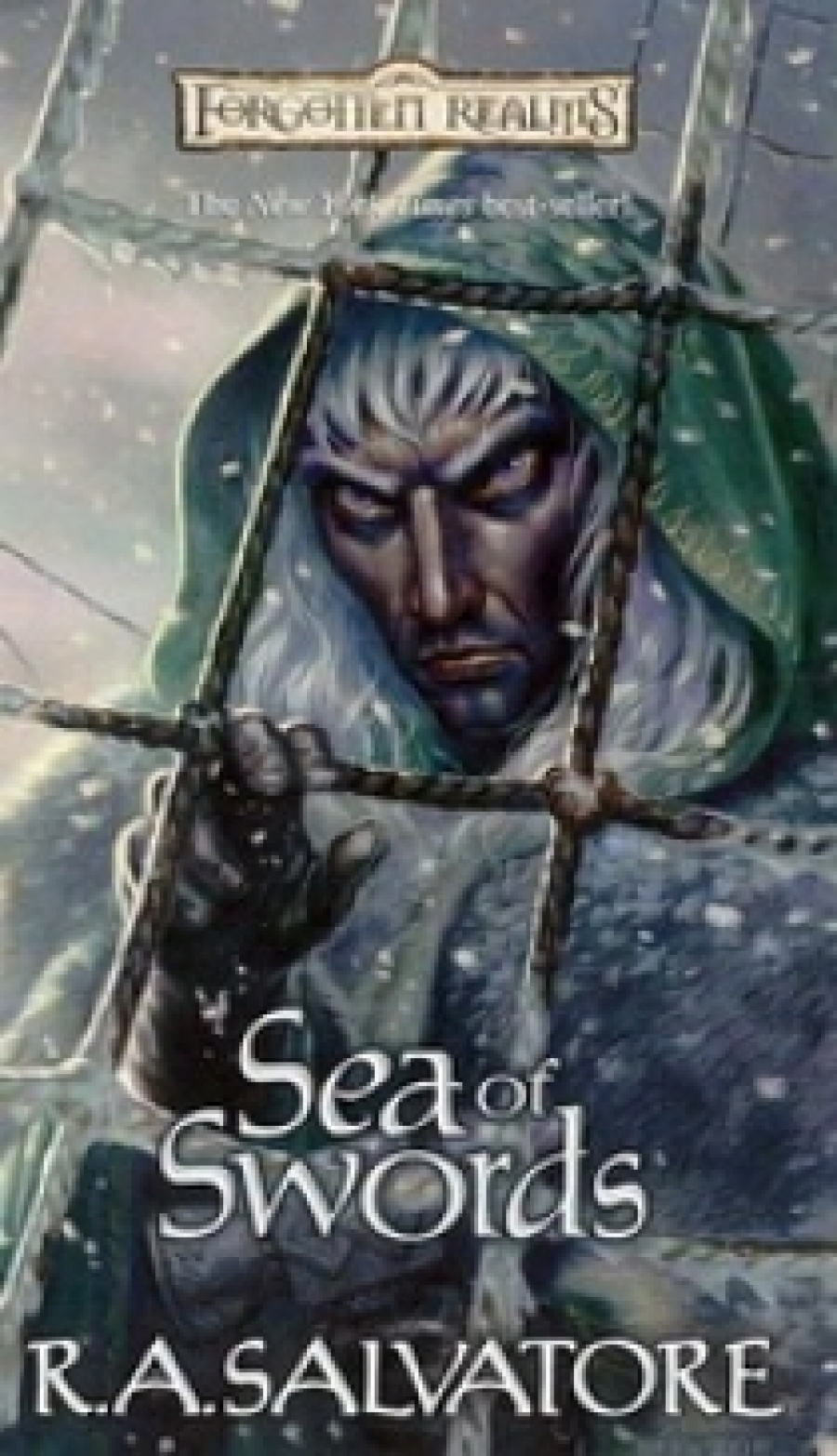R A.S. Forgotten Realms: Paths of Darkness: Sea of Swords 