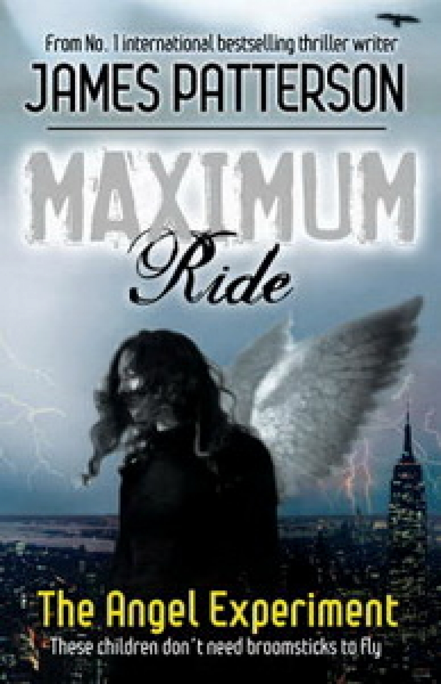 James P. Maximum Ride: The Angel Experiment 