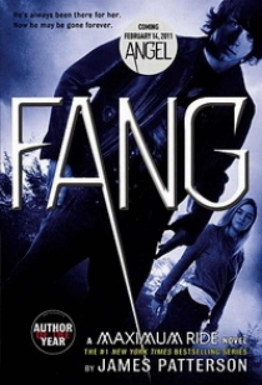 James P. Fang: A Maximum Ride Novel 