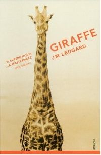 Ledgard Giraffe 