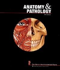 Anatomical Chart Company Anatomy and Pathology: The World's Best Anatomical Charts (  :   ) 