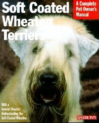 Margaret, Bonham Soft coated wheaten terrier (  ) 