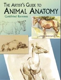Bammes Gottfried The Artist's Guide to Animal Anatomy (    ) 