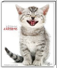 Jane, Burton Kittens & Kittens (  ) 