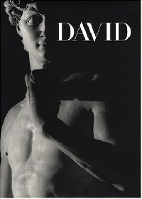 Aurelio Amendola Michelangelo's David 